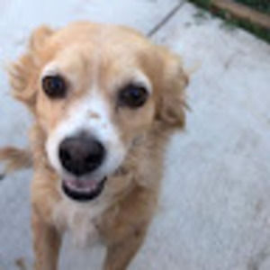 Meet your Posher, Teresa